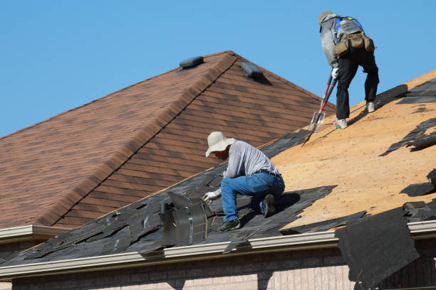 Best Roof Moss and Algae Removal  in Charleston, SC