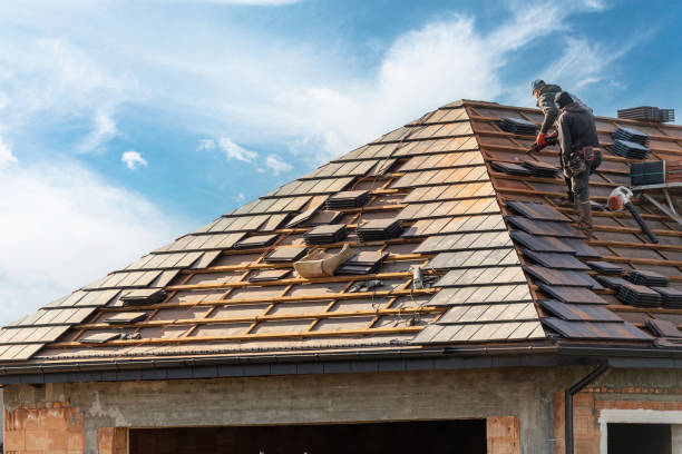 Best Roof Ventilation Installation  in Charleston, SC